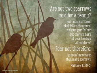 Matthew 10.31 - Sparrows Don't Fear; More So Us